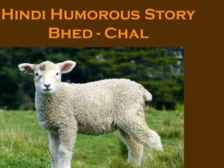 Hindi Funny Story